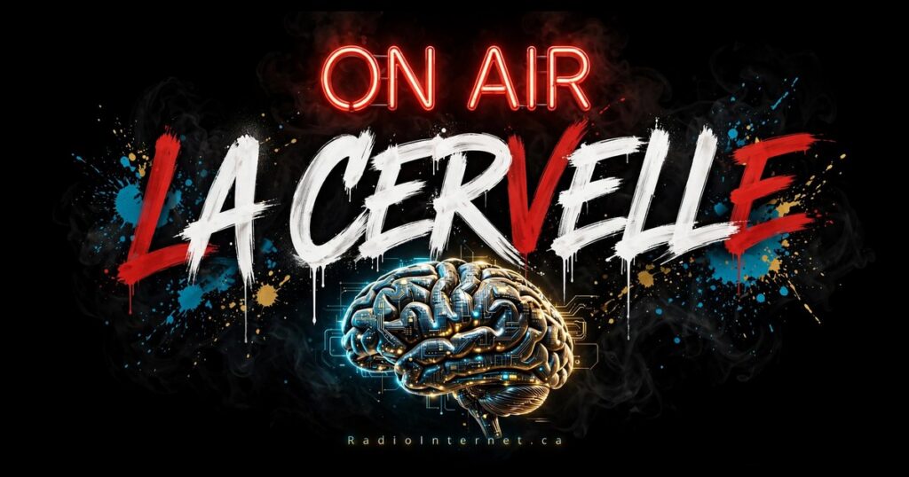 13-cerveau